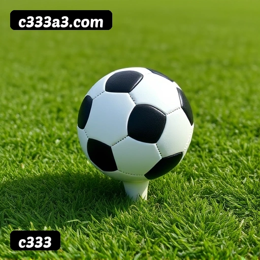 6 vantagens exclusivas do programa VIP da c333